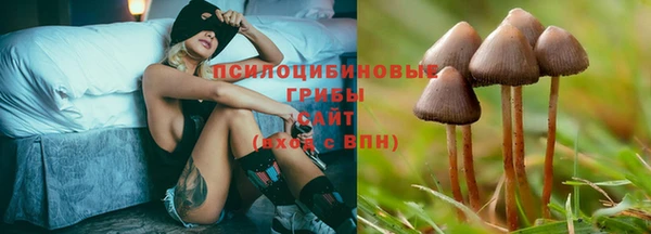 кокаин Новодвинск