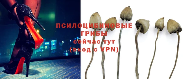 прущая мука Нязепетровск