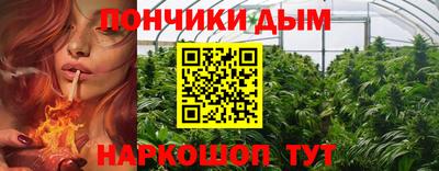 гидра Моздок