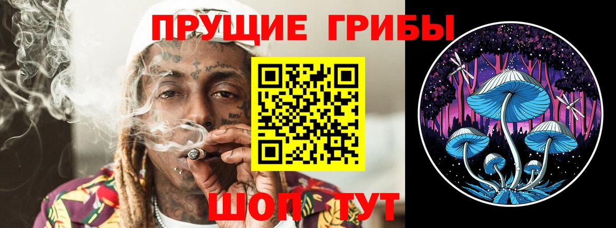 COCAIN Новосибирск